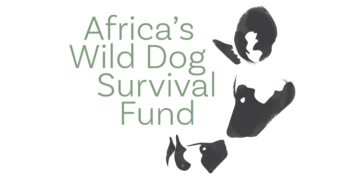 Africa's Wild Dog Survival Fund