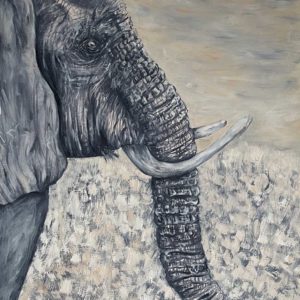 Tamlyn-Mthethwa-Elephant-in-the-Veld