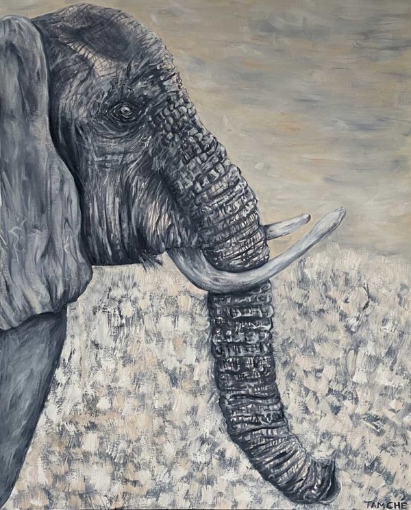 Tamlyn-Mthethwa-Elephant-in-the-Veld